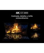 Televisor 65 pulgadas TCL 65C7K